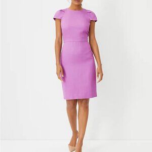 Elegant Purple Women's Dress